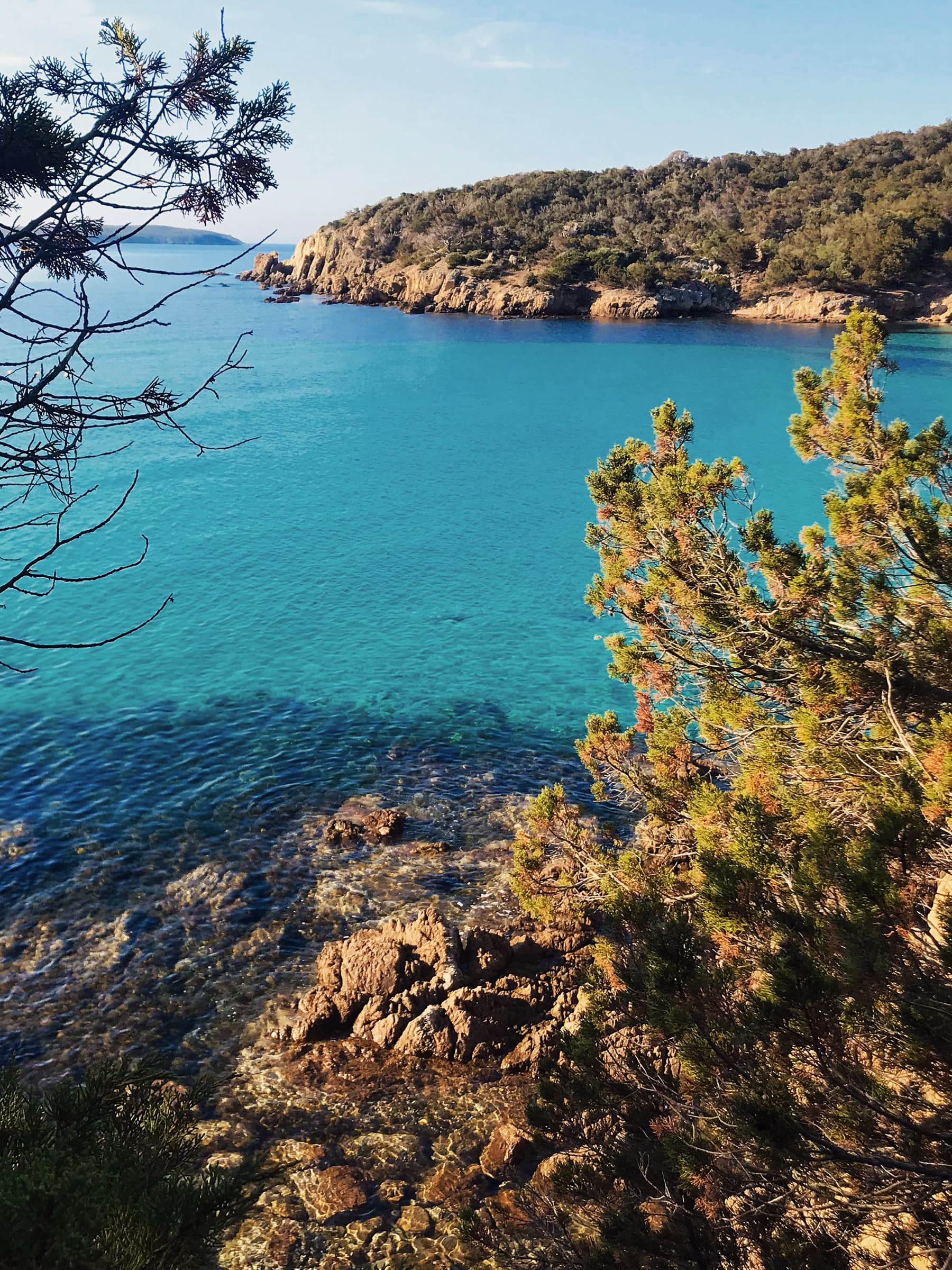 Mediterranean Sea and Corsican Maquis